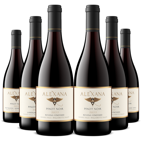 International Pinot Noir Day 6-Pack